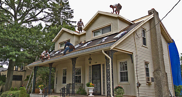 Best Roof Leak Repair  in Anderson, MO